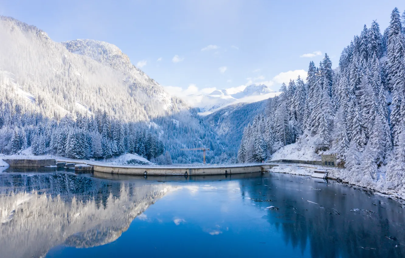 Фото обои зима, снег, деревья, пейзаж, река, елки, forest, river