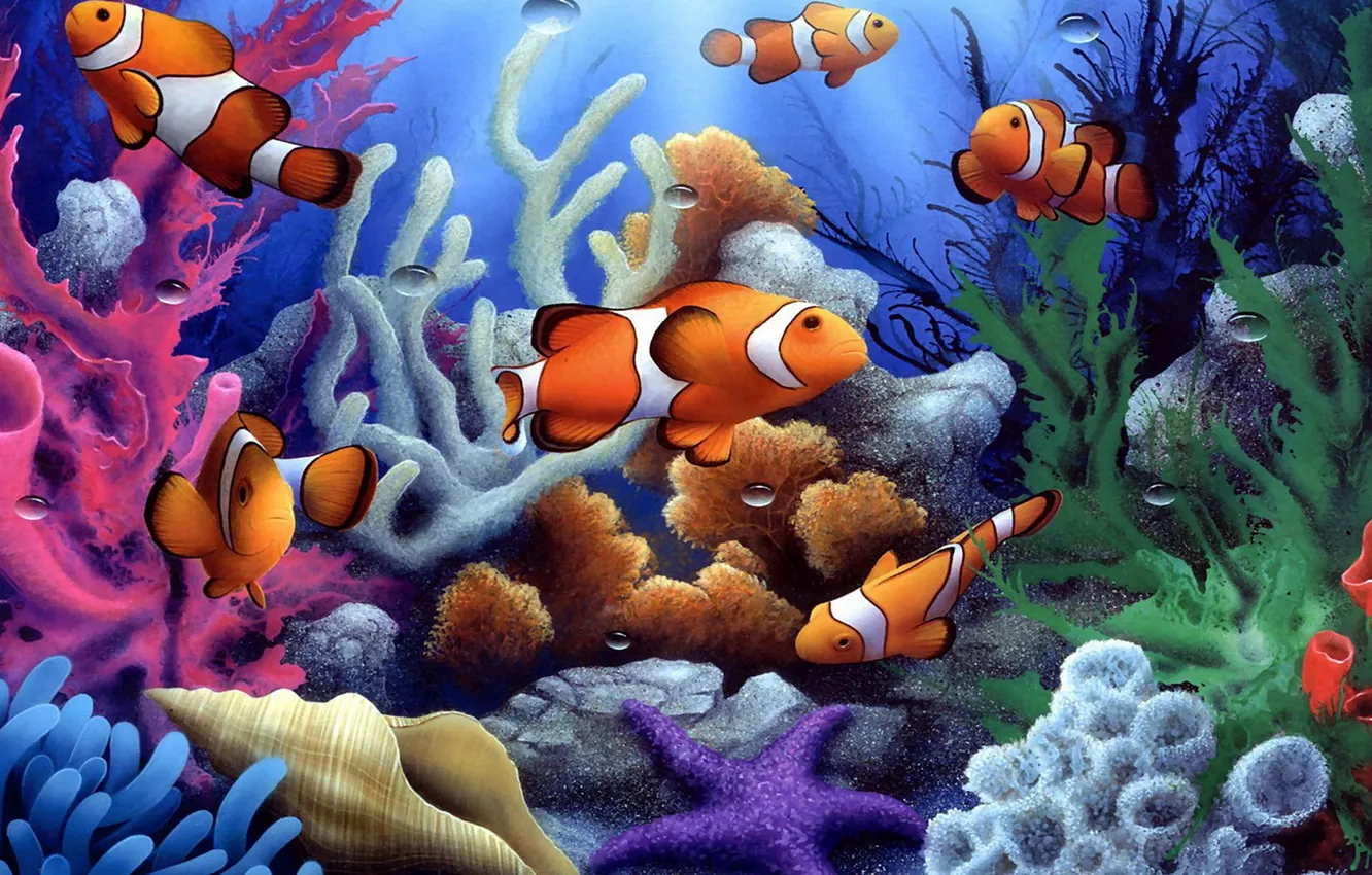 Фото обои рыбки, ракушка, кораллы, морская звезда, под водой