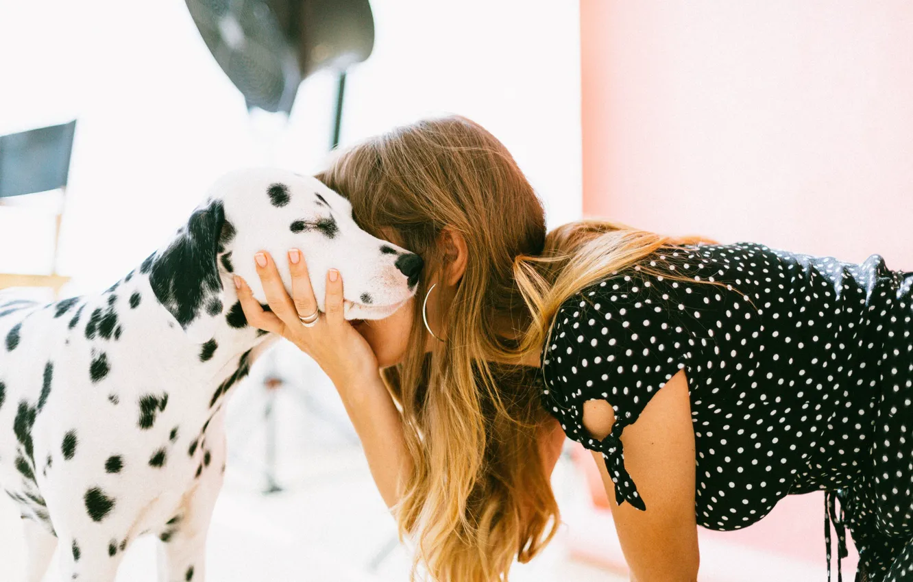 Фото обои девушка, рука, собака, далматинец