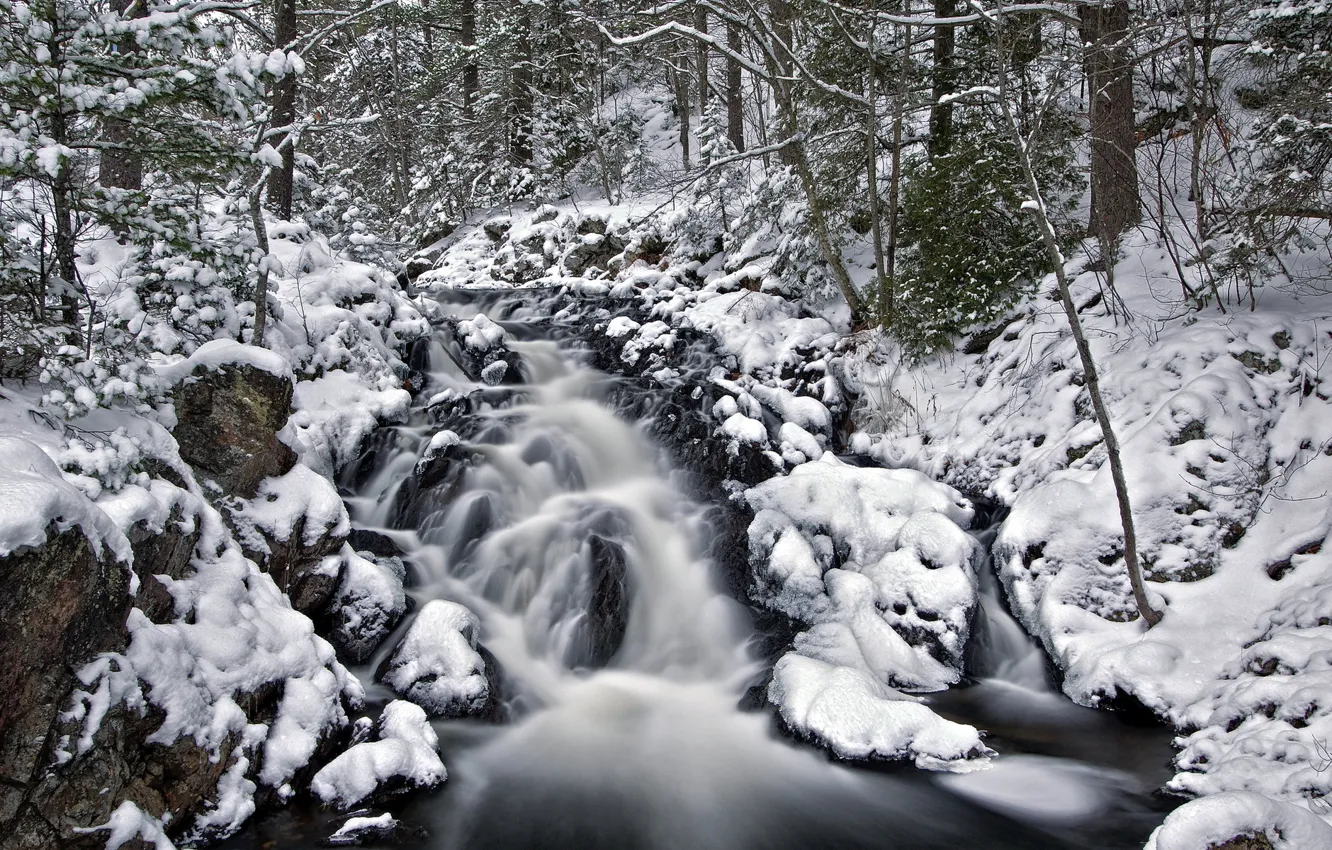 Фото обои зима, лес, природа, река