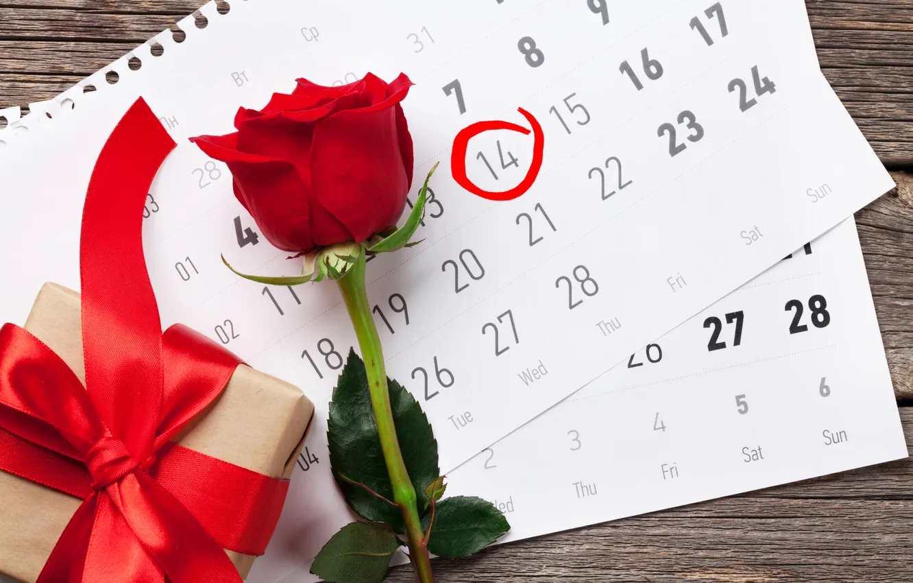 Фото обои любовь, цветы, подарок, романтика, розы, love, happy, День святого Валентина