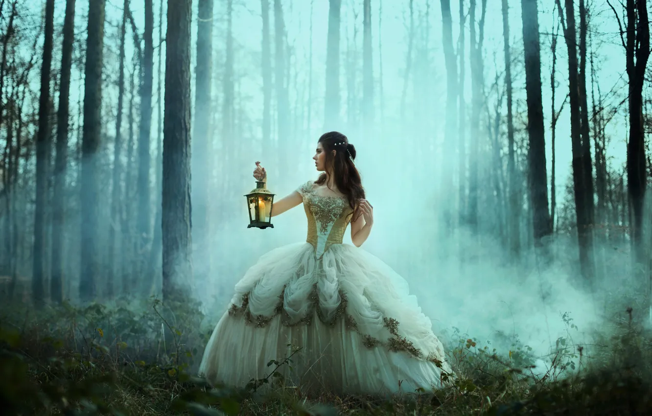 Фото обои лес, девушка, ситуация, платье, фонарь, Bella Kotak