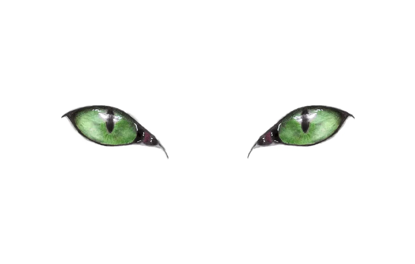 Фото обои green eyes, minimalism, eyes, Cat, artwork, drawing, white background, simple background