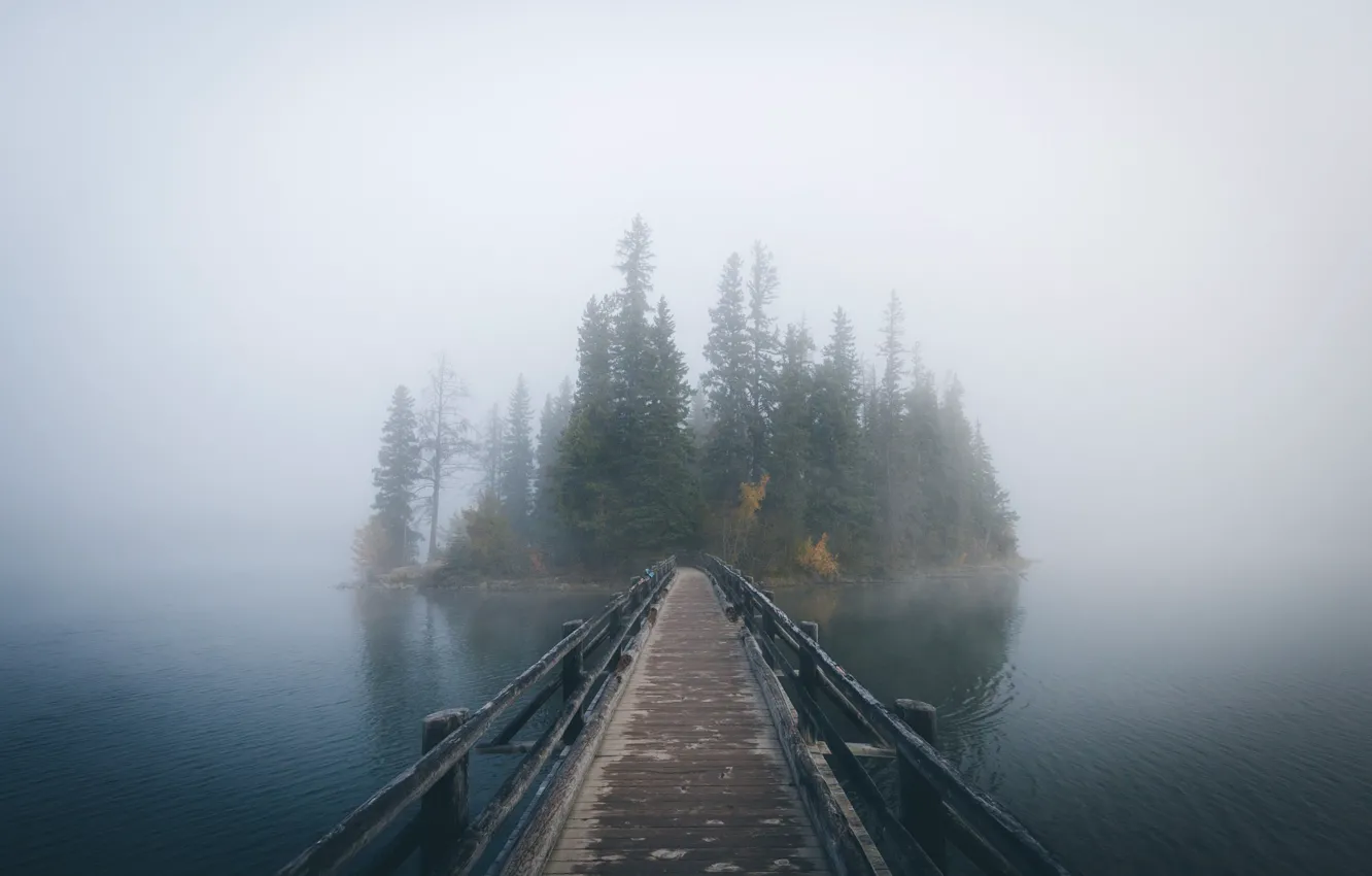 Фото обои осень, лес, деревья, туман, озеро, остров, дымка