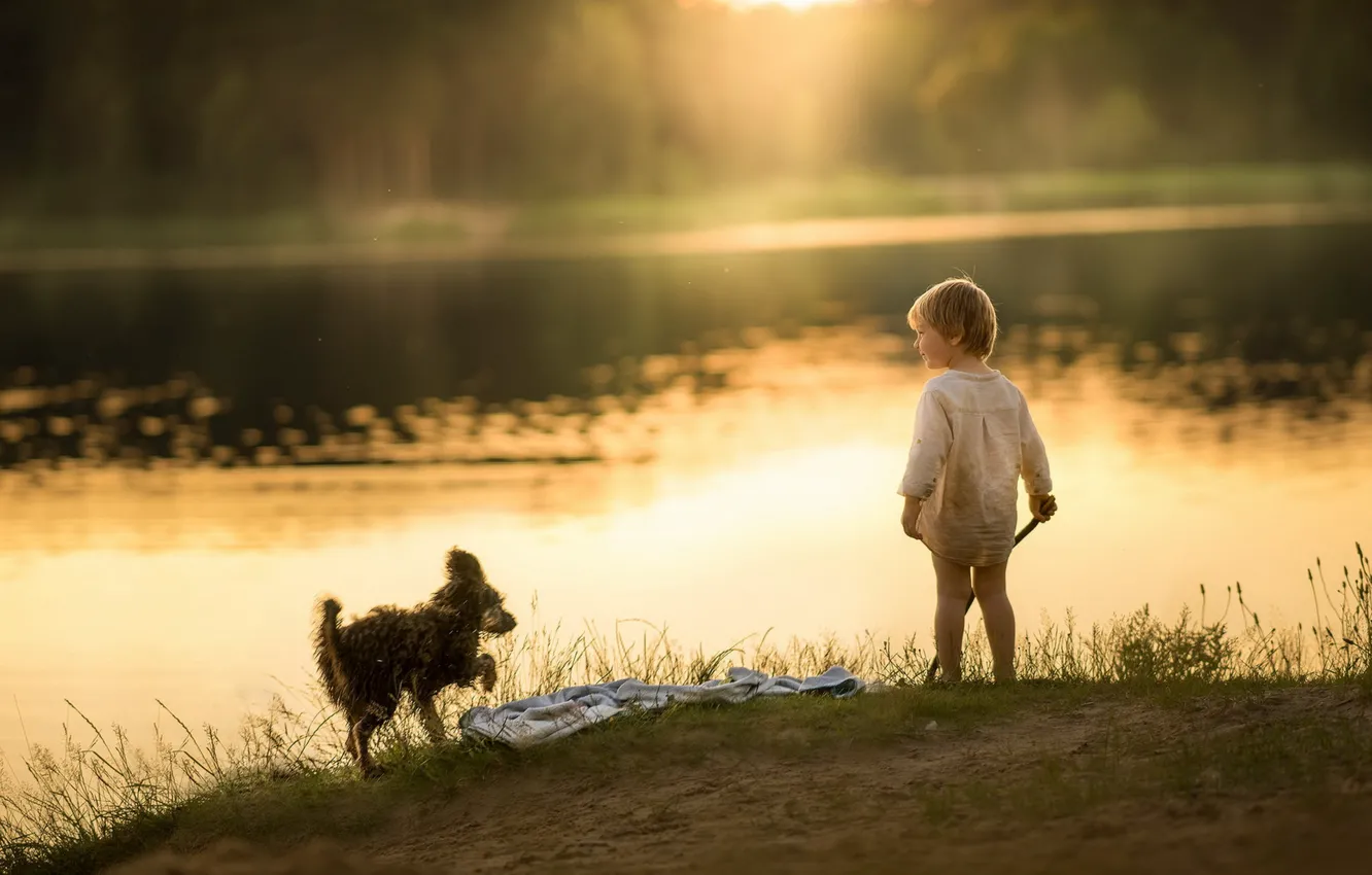 Фото обои озеро, собака, мальчик, утро