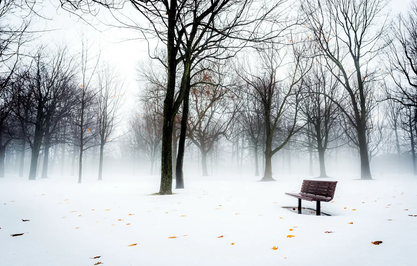 Фото обои снег, туман, парк, скамья