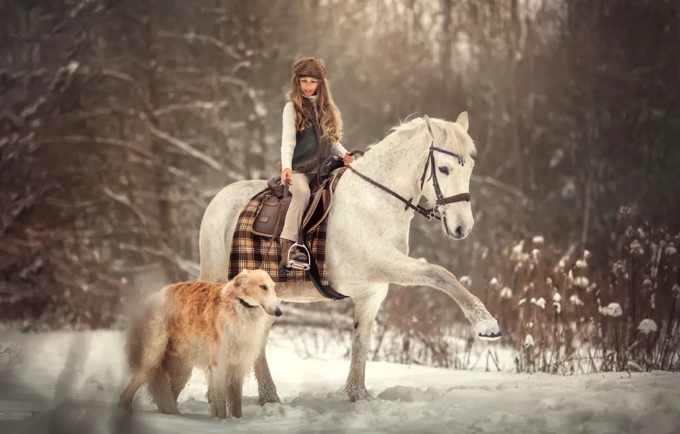 Фото обои зима, снег, лошадь, собака, девочка, наездница
