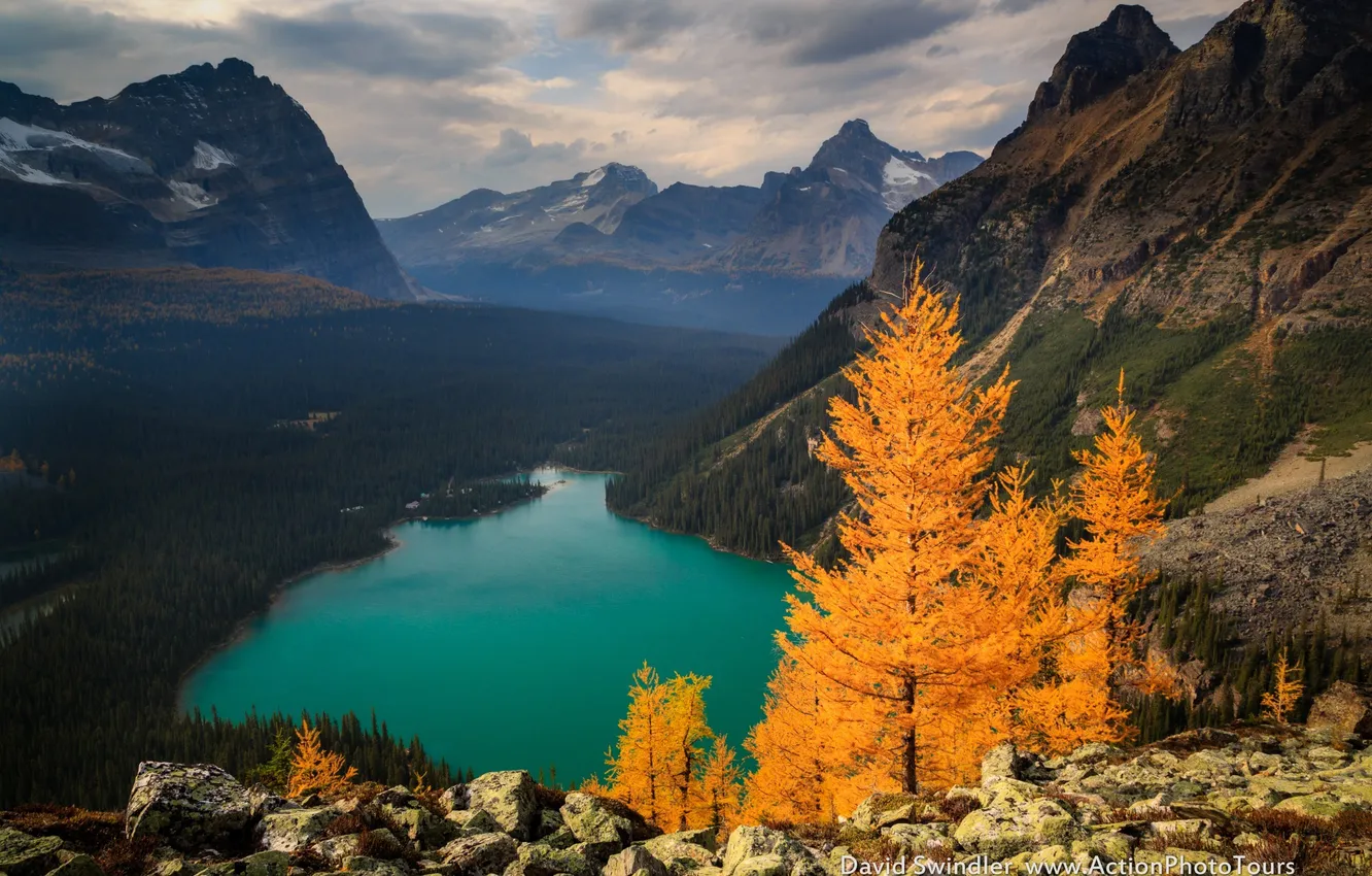Фото обои лес, горы, озеро, скалы