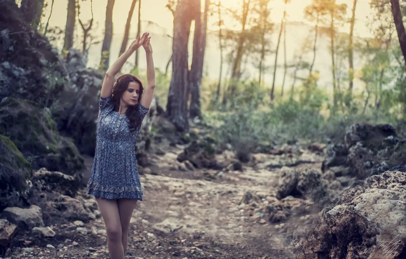 Фото обои Girl, Nature, Legs, Model, Sun, Forest, Hands