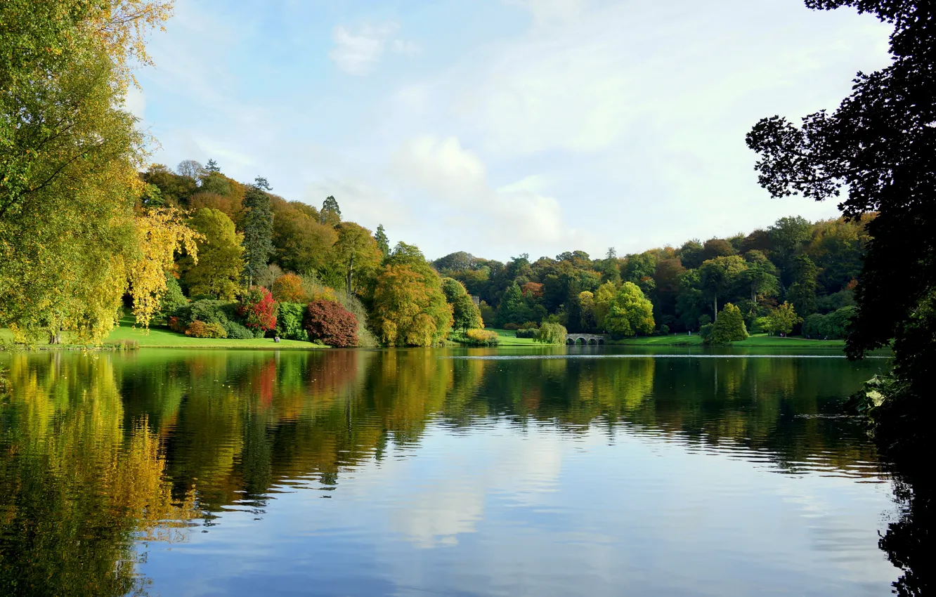 Фото обои осень, деревья, мост, парк, пруд.
