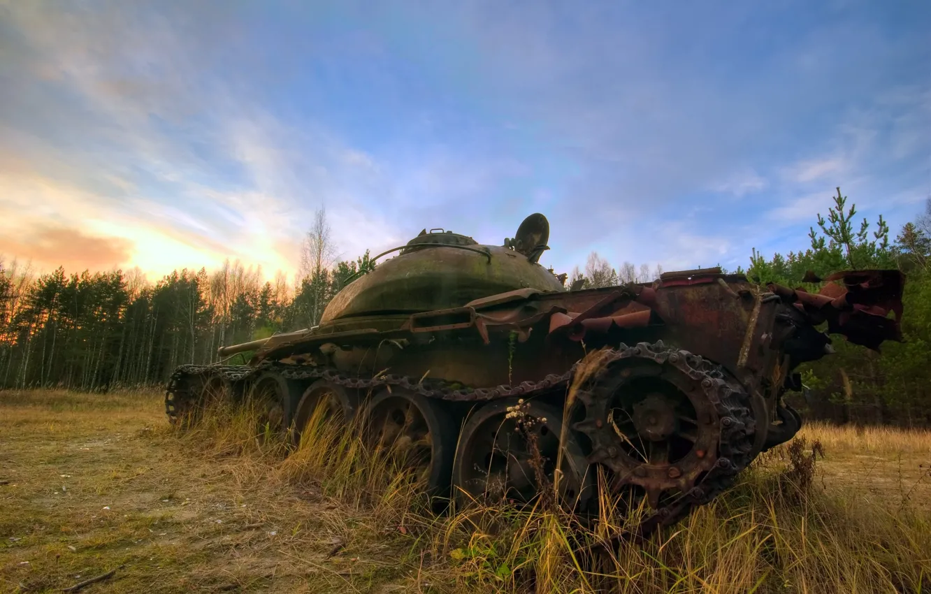 Фото обои лес, Танк, бронетехника, военная техника