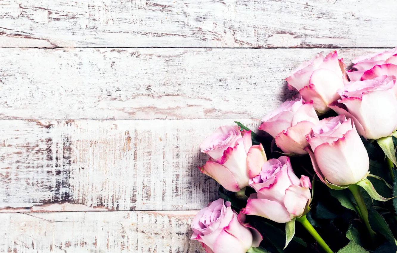 Фото обои цветы, розы, букет, розовые, wood, pink, flowers, roses