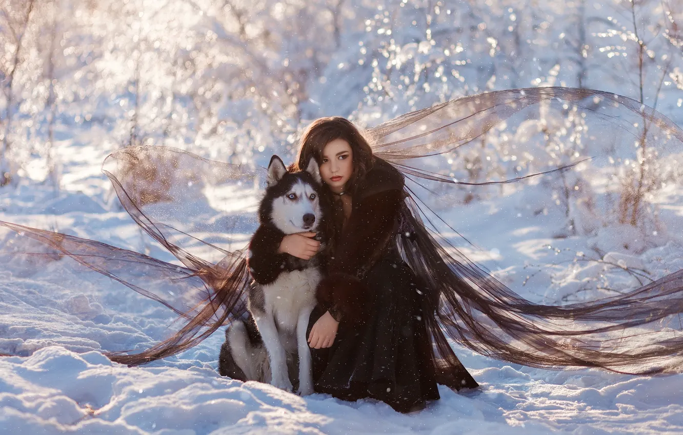 Фото обои зима, девушка, снег, поза, собака, друзья, хаски, Юлия Тягушова
