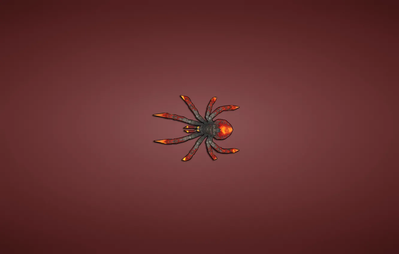 Фото обои красный, минимализм, паук, spider