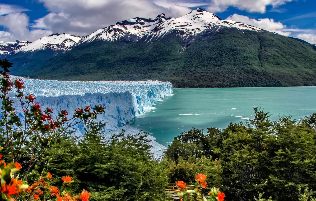 Фото обои горы, озеро, ледник, кусты, Argentina, Аргентина, Анды, Patagonia