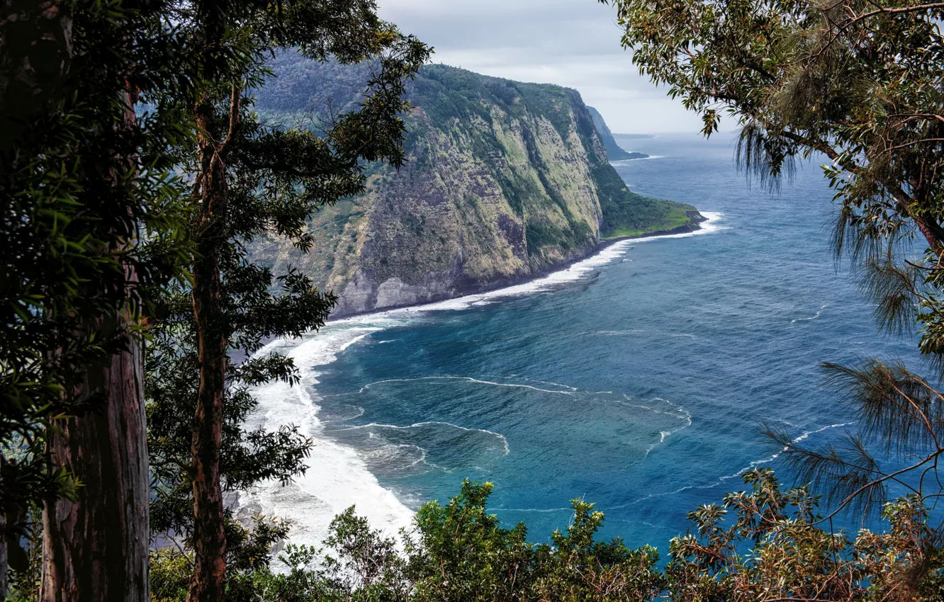 Фото обои Природа, Скала, Гавайи, Ствол, США, Побережье, Waipio Valley