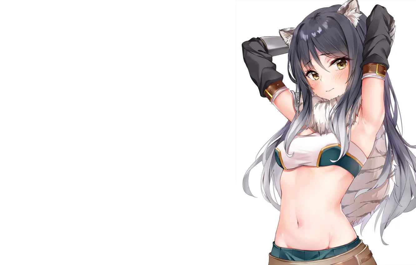 Фото обои girl, sexy, long hair, animal ears, anime, beautiful, pretty, top
