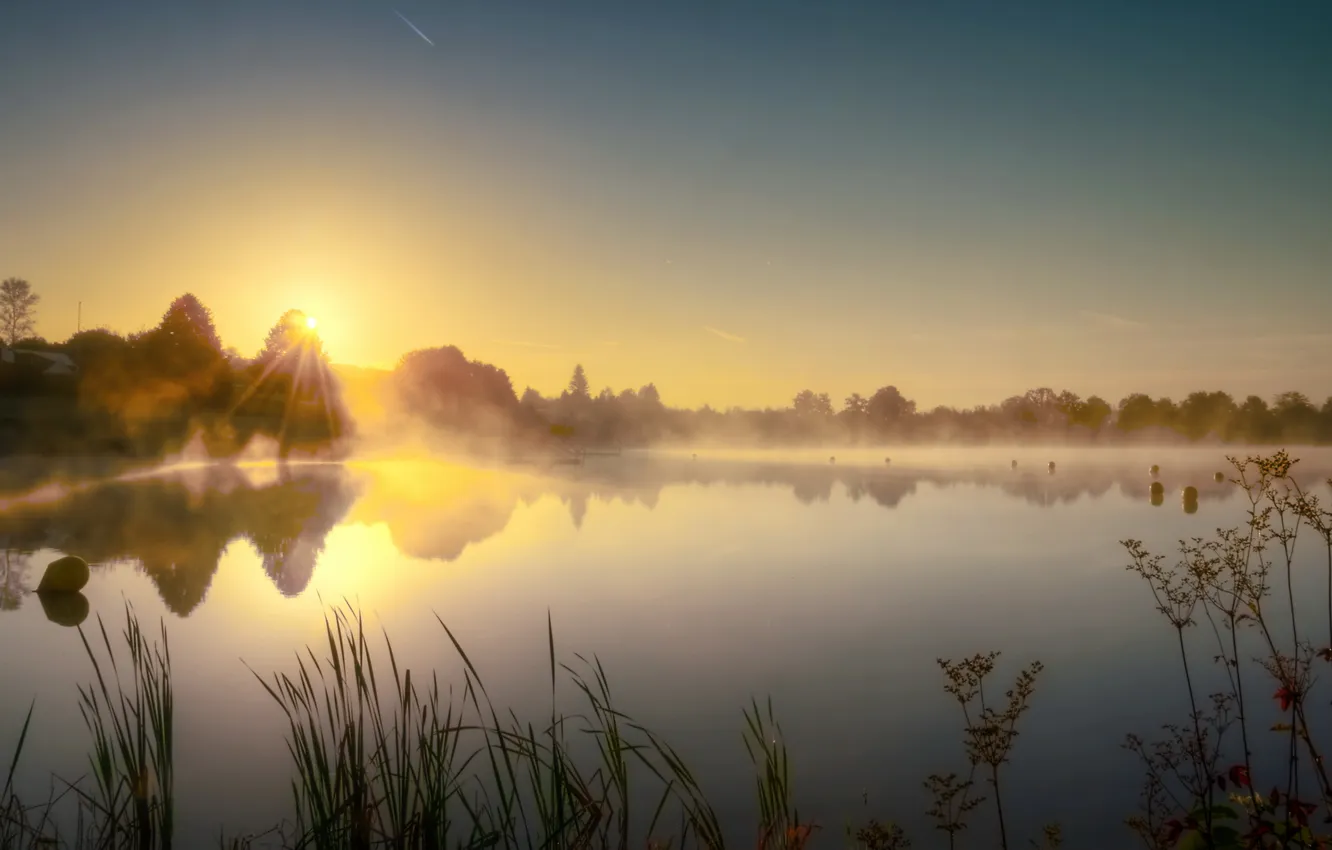 Фото обои пейзаж, туман, озеро, утро