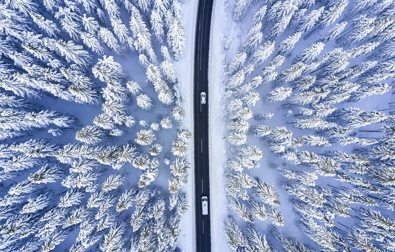 Фото обои ice, forest, road, snow, vehicle, aerial view