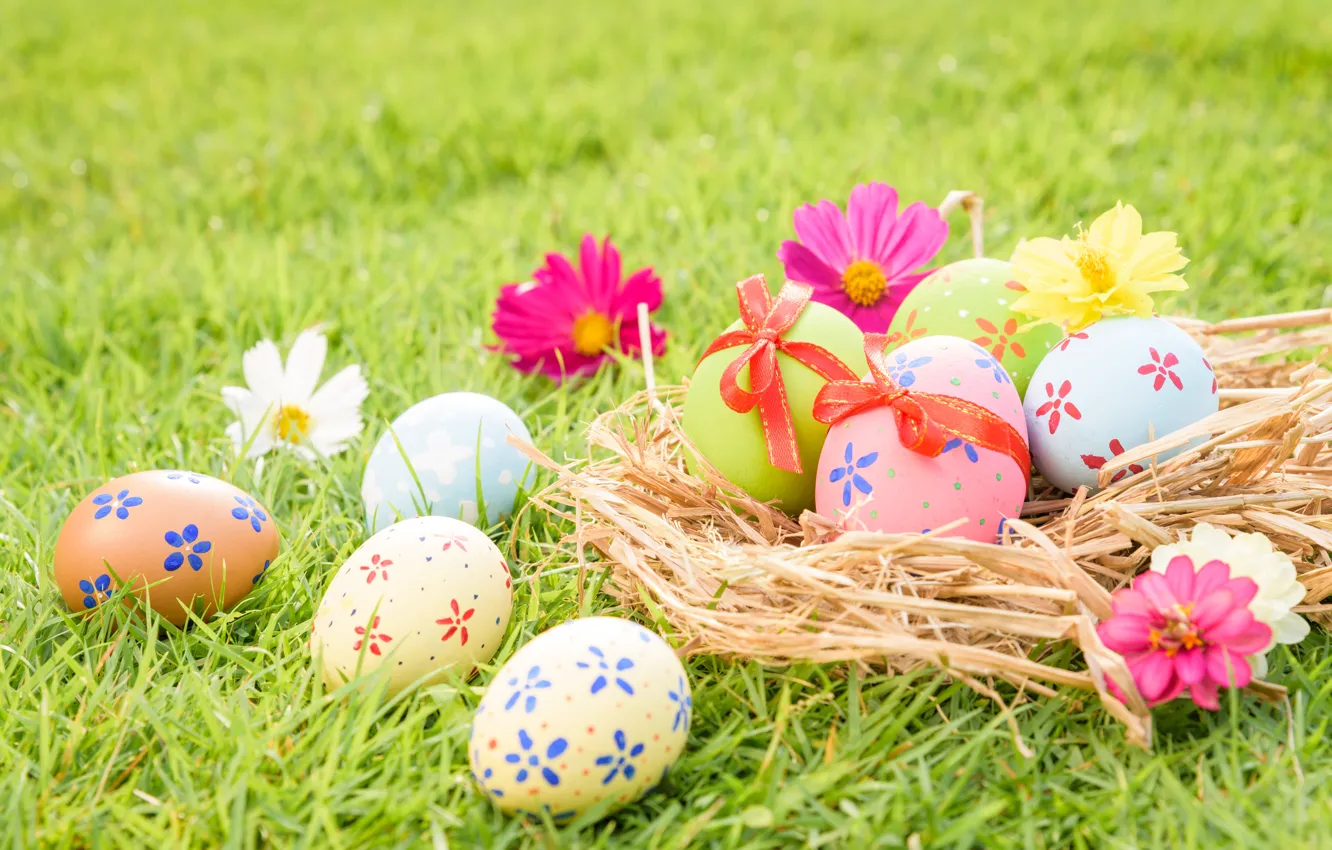 Фото обои трава, цветы, яйца, Пасха, happy, flowers, eggs, easter