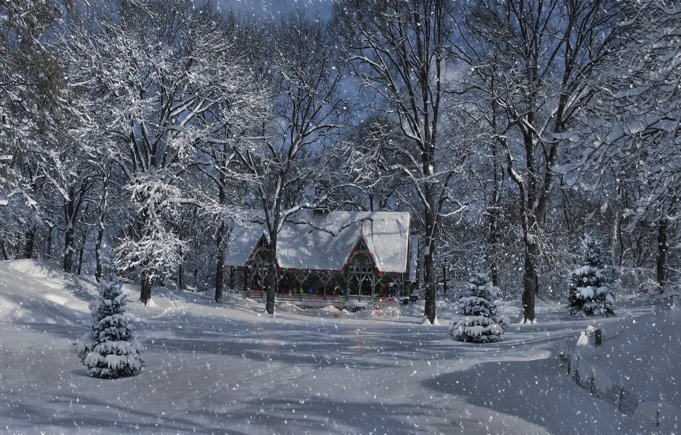Фото обои зима, лес, снег, деревья, пейзаж, огни, дом, лампочки