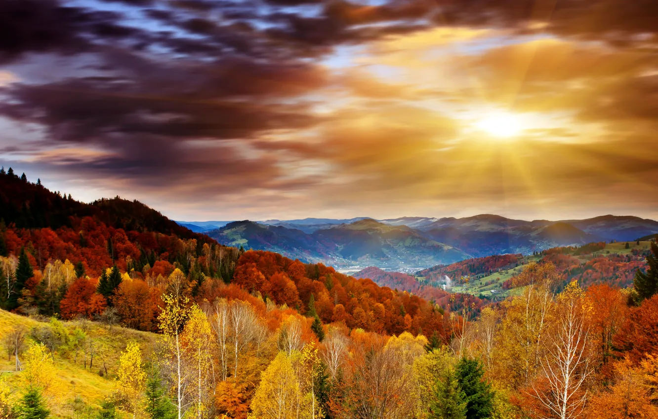 Фото обои осень, лес, небо, облака, деревья, горы, рассвет, лучи солнца