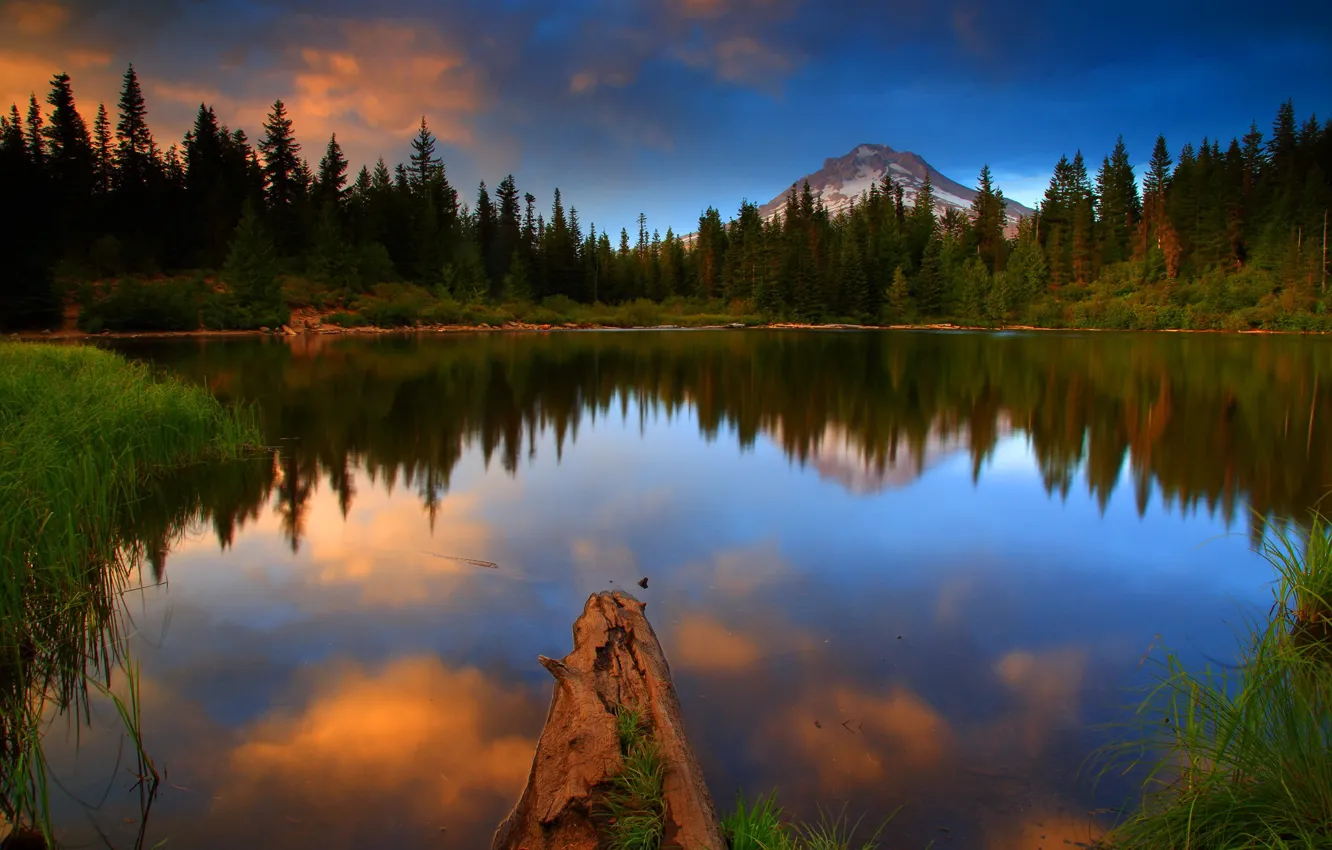 Фото обои лес, вода, пейзаж, природа, озеро, фото, США, Oregon
