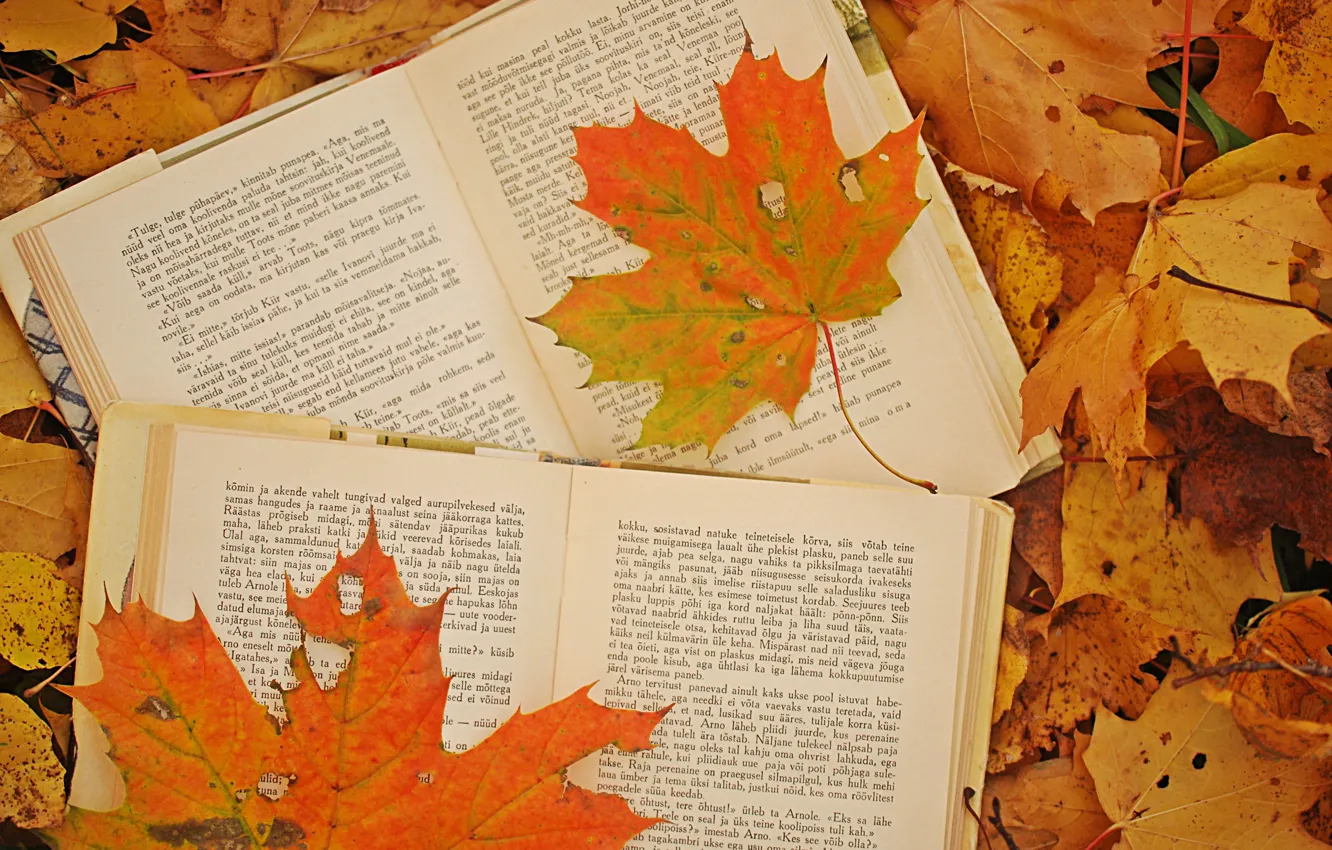 Фото обои осень, листья, фото, книги, кленовые