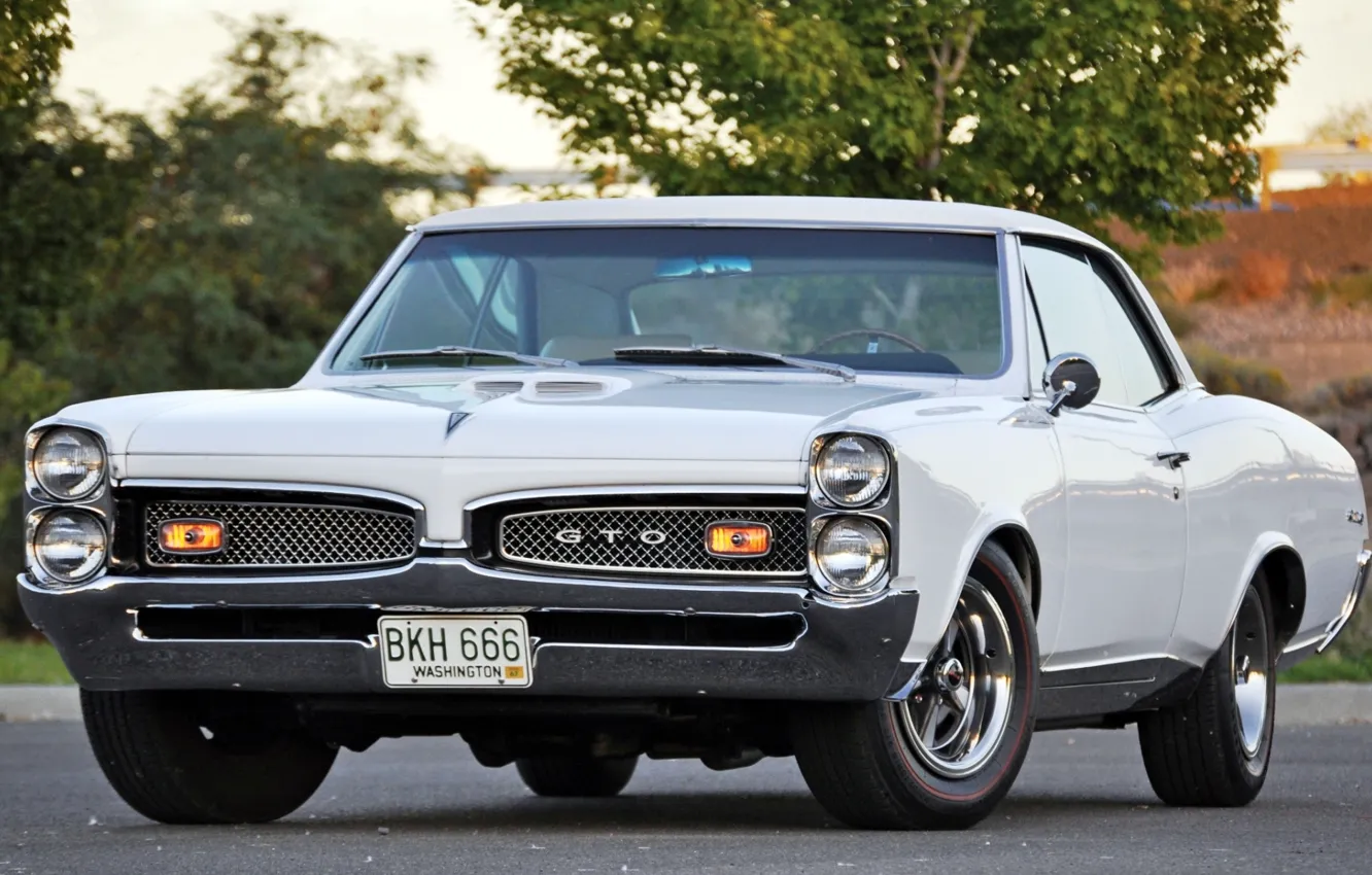 Фото обои белый, дерево, мускул кар, классика, Coupe, Pontiac, GTO, 1967