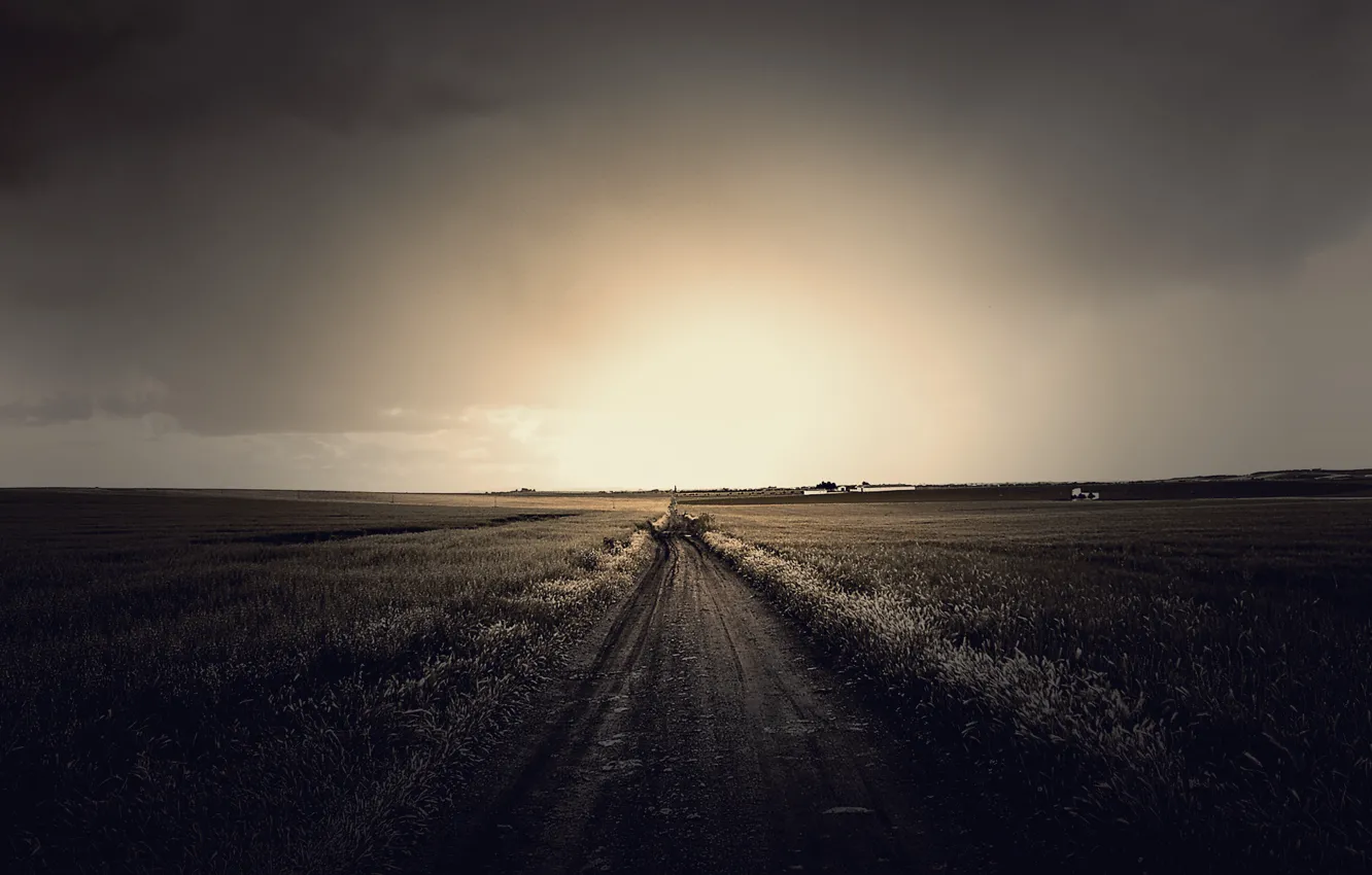 Фото обои дорога, поле, небо, трава, солнце, облака, свет, пейзаж