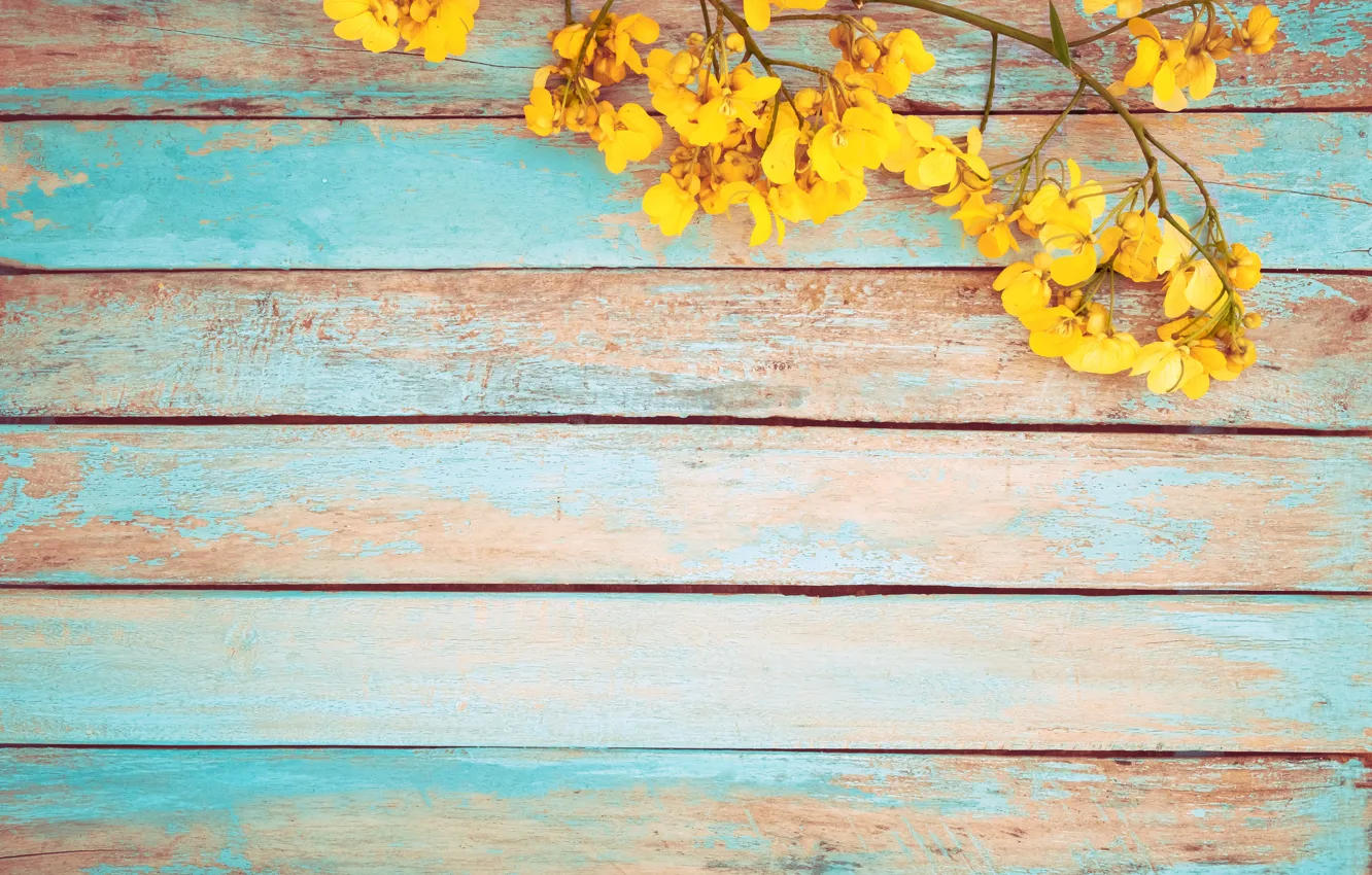 Фото обои цветы, весна, желтые, vintage, yellow, wood, flowers, spring