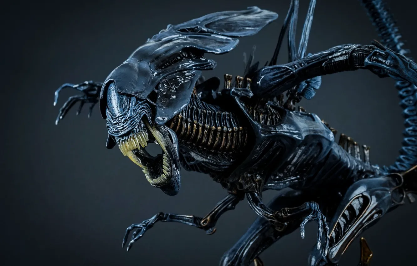 Фото обои Чужой, Кароль, alien king maquette