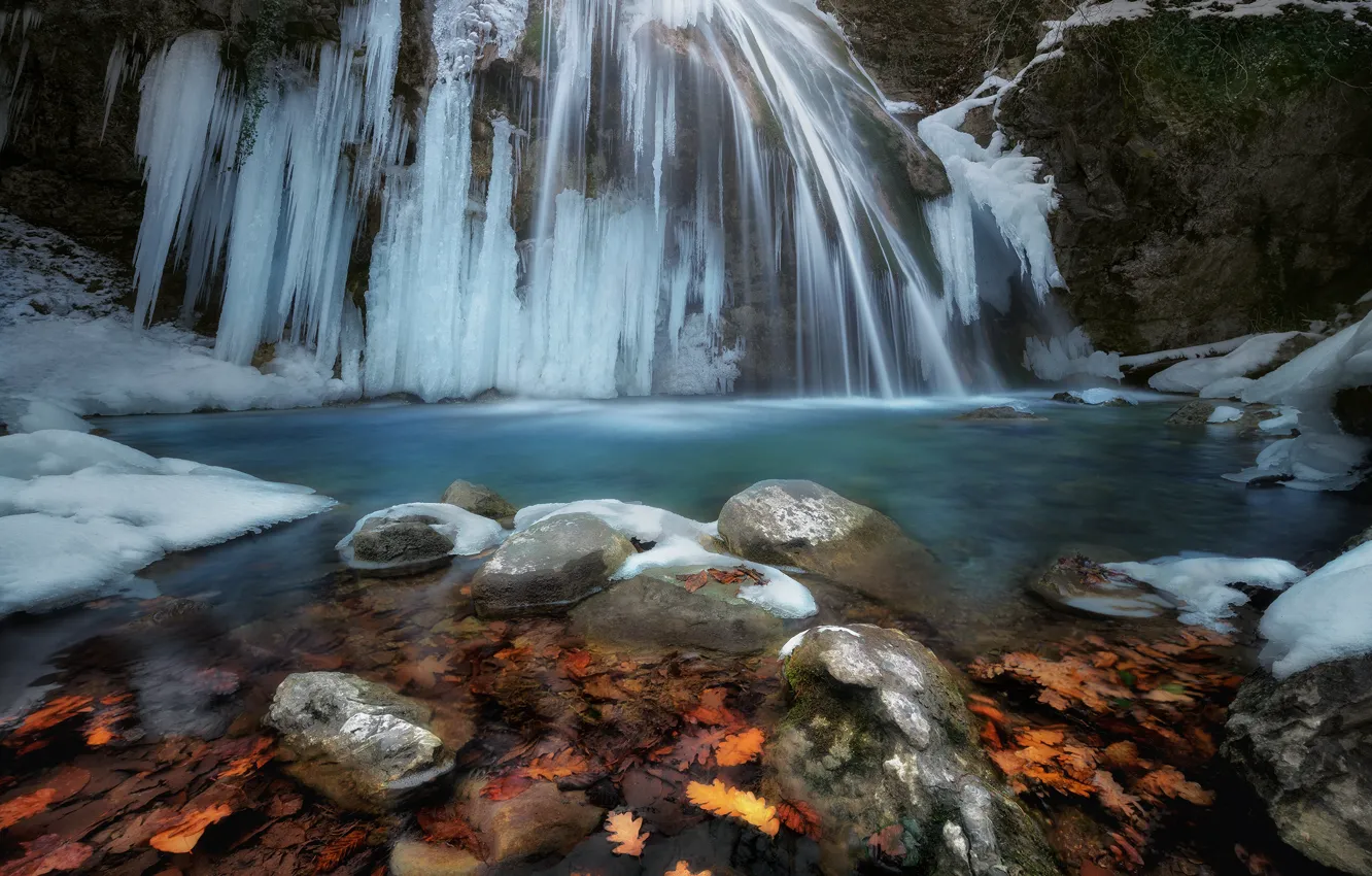 Фото обои листья, снег, природа, камни, водопад, лёд, Анна Политова