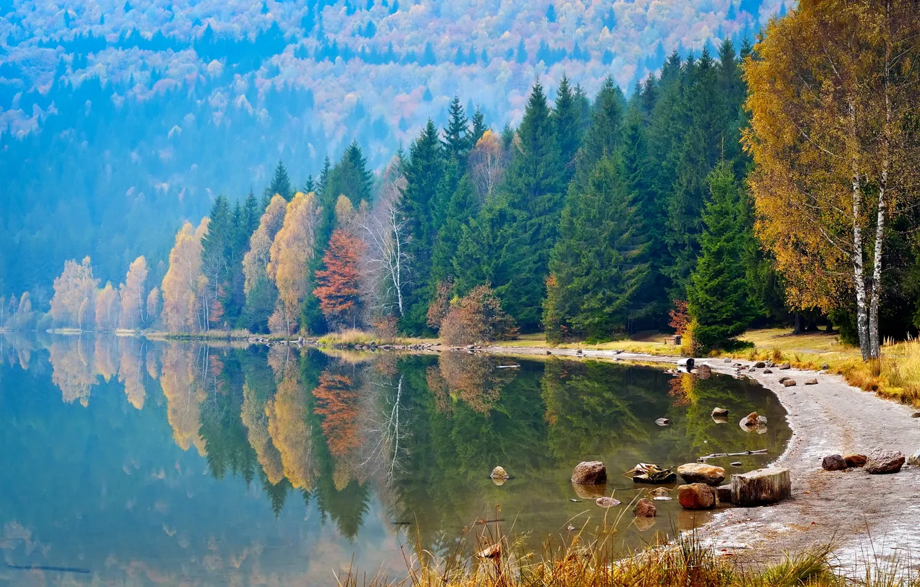 Фото обои осень, лес, вода, деревья, отражение, река, камни, берег