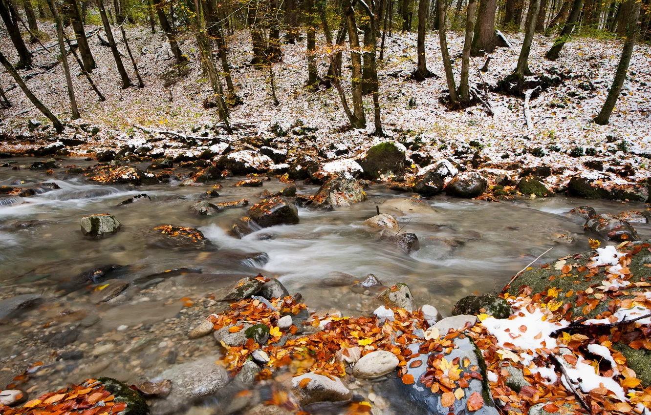 Фото обои осень, лес, природа, река
