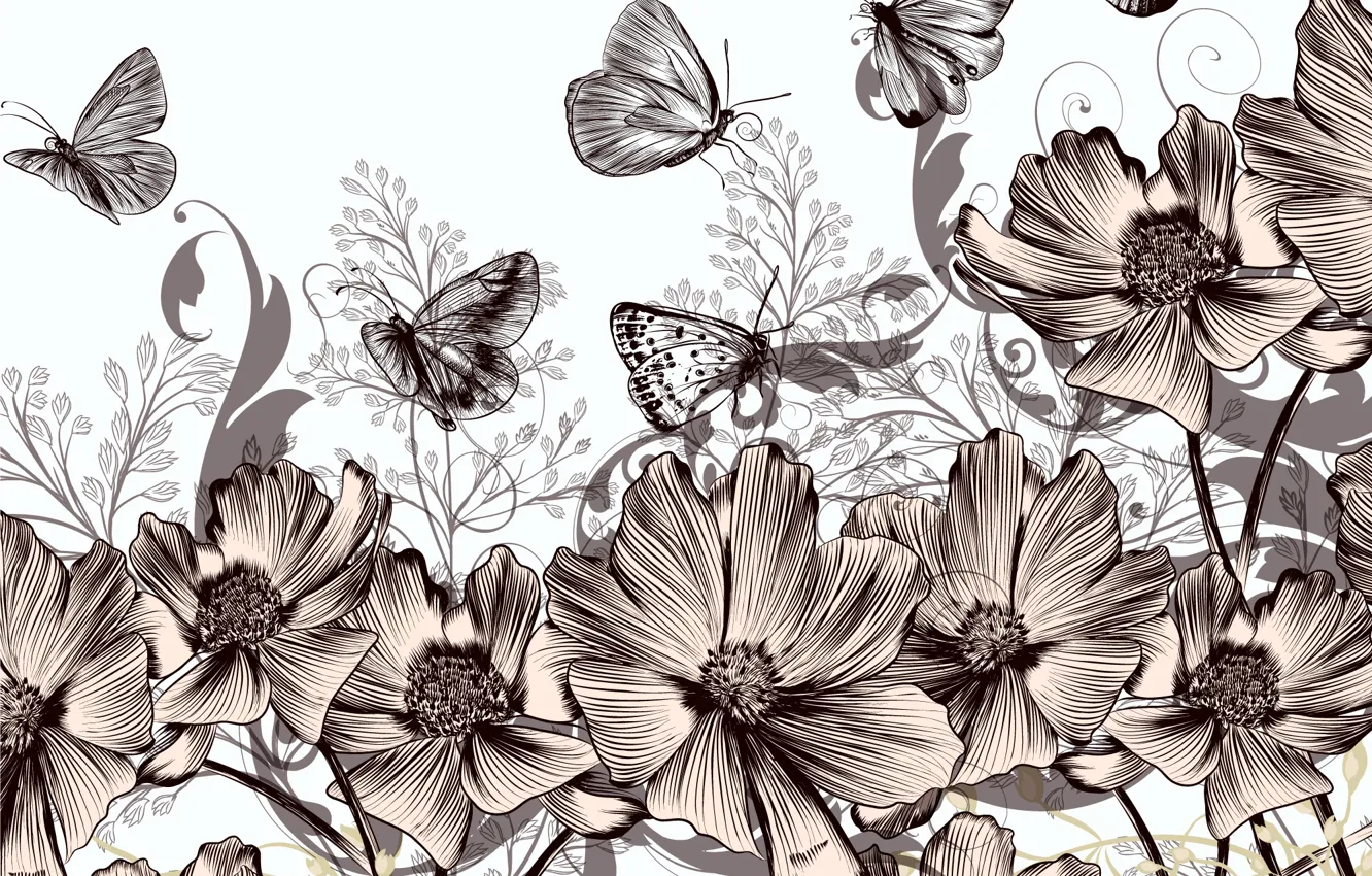 Фото обои бабочки, цветы, ретро, фон, винтаж