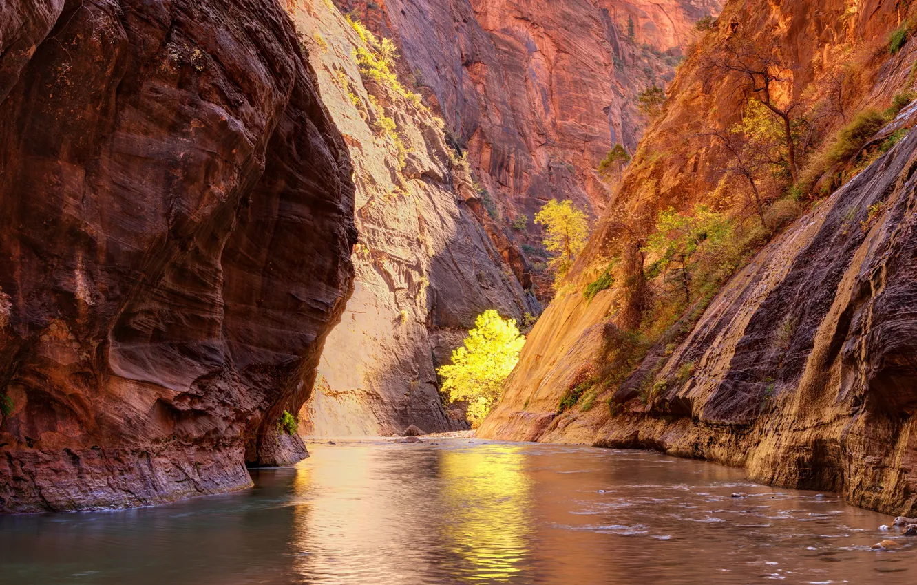 Фото обои осень, свет, деревья, горы, озеро, скалы, склон, каньон