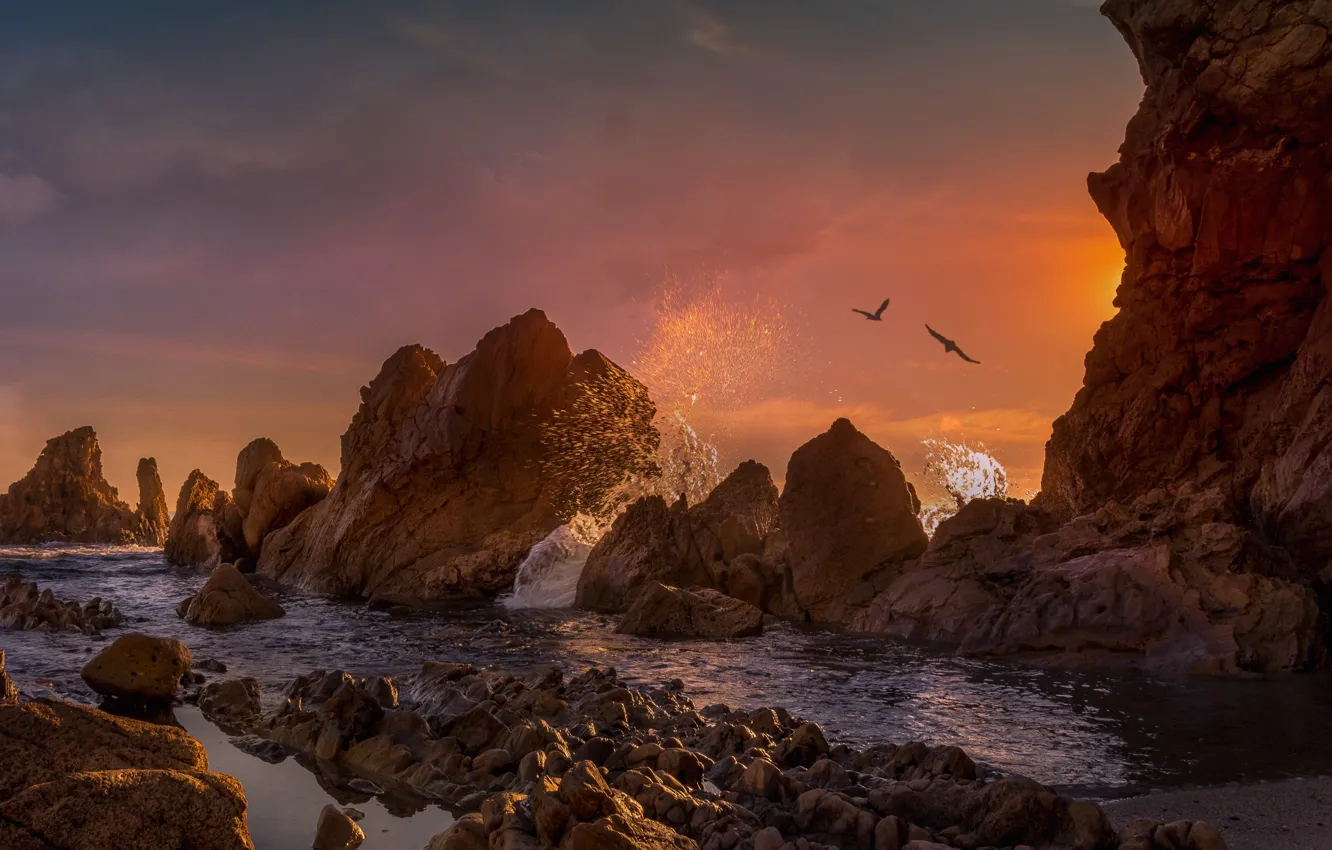 Фото обои пейзаж, закат, брызги, птицы, природа, камни, океан, скалы