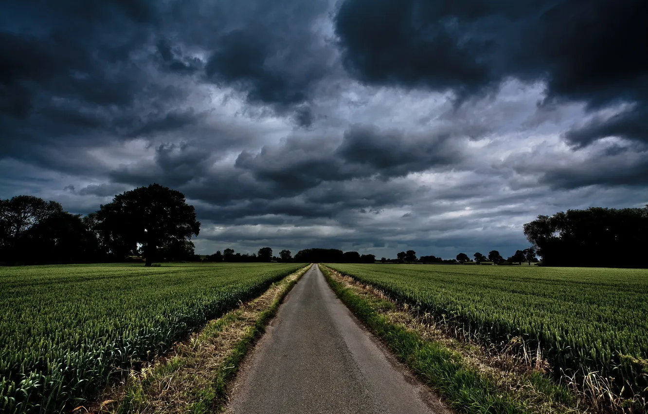 Фото обои дорога, поле, пейзаж