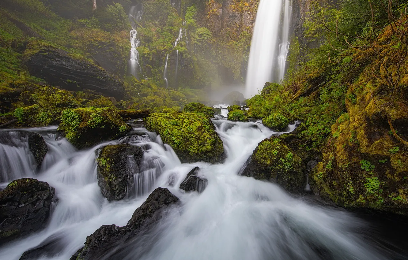 Фото обои лес, ручей, камни, мох, речка, водопады, Gifford Pinchot National Forest, Washington State