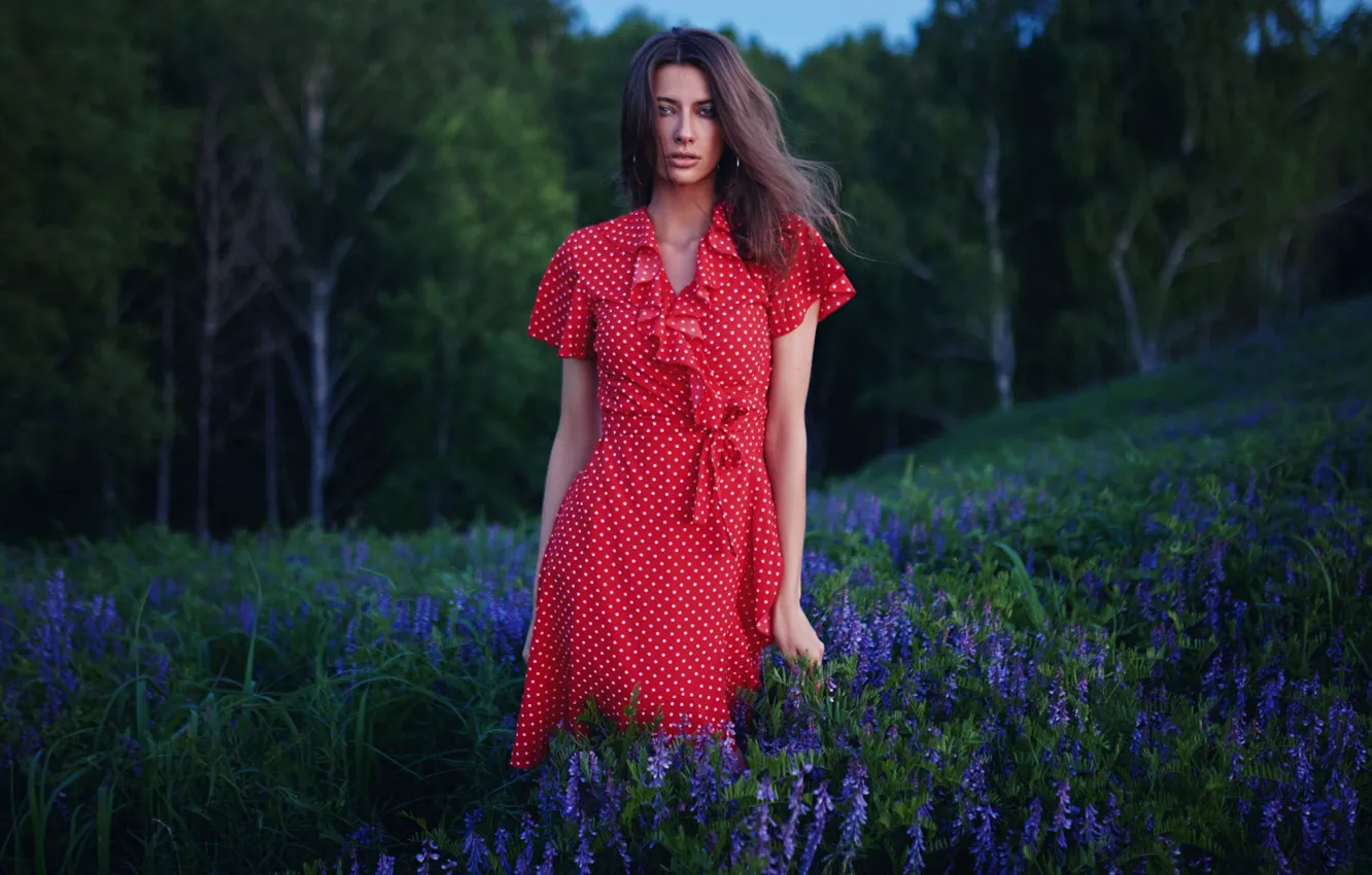 Фото обои девушка, цветы, поза, красное платье, на природе, в горошек, люпины, Sergey Fat