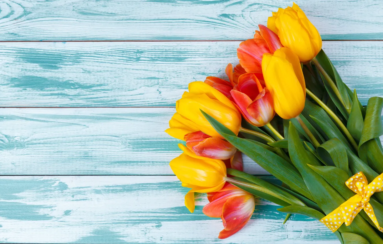 Фото обои букет, весна, лента, тюльпаны