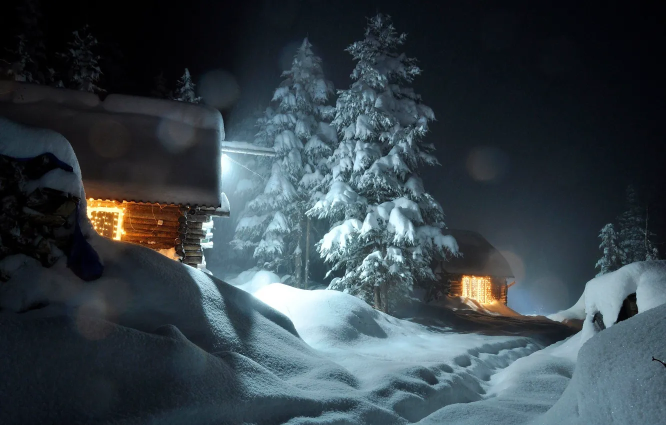 Фото обои Ночь, Night, Зимний Лес, Winter Forest, Snow houses, Снежные дома