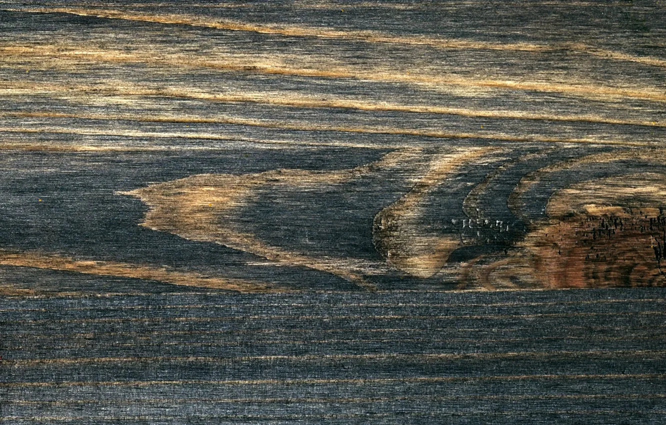 Фото обои древесина, wood, заставка