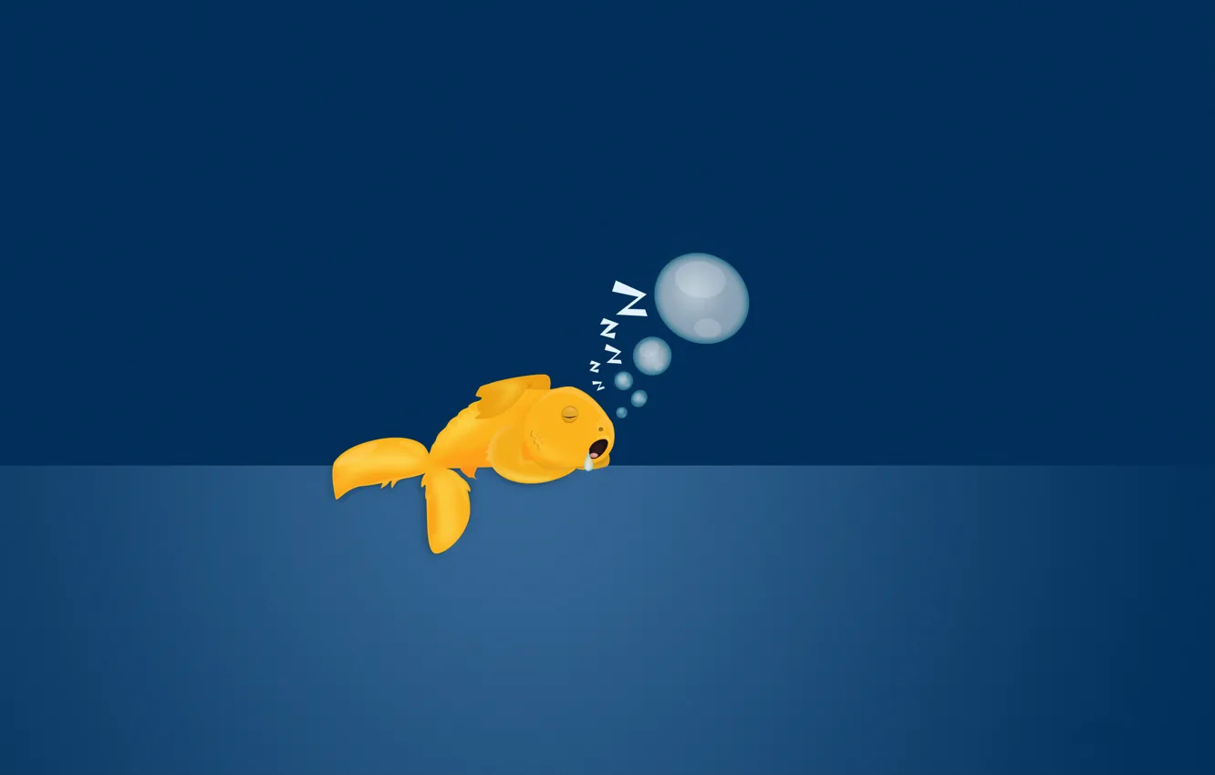 Фото обои пузыри, фон, спит, золотая рыбка