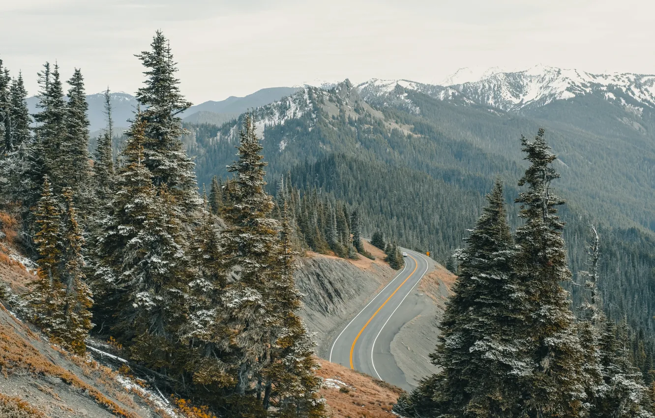 Фото обои зима, дорога, лес, горы, Аляска