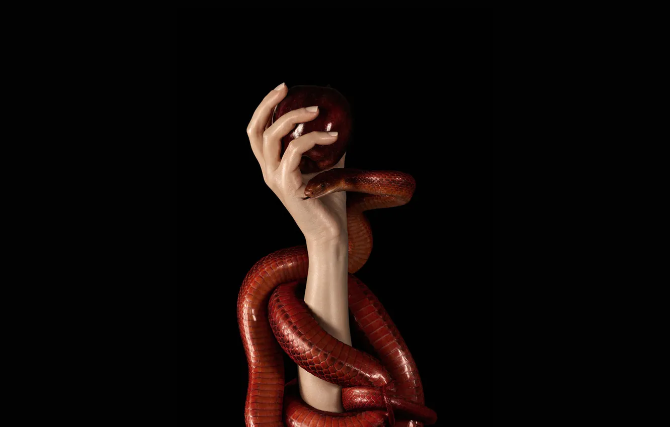 Фото обои яблоко, рука, змея, Красная