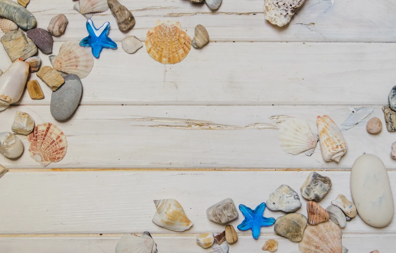Фото обои звезды, камни, ракушки, summer, beach, wood, marine, starfish