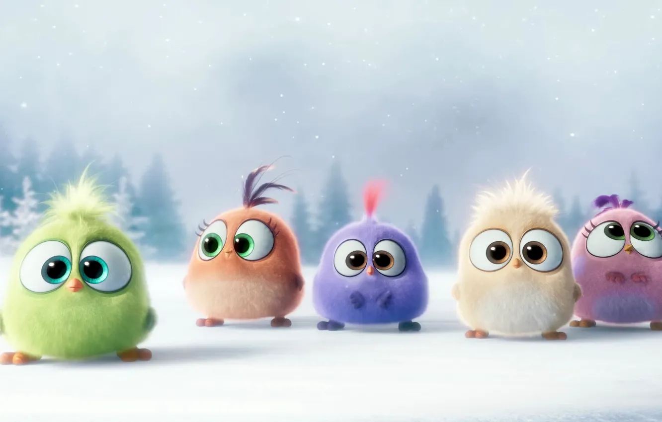 Фото обои зима, снег, настроение, мультфильм, птички, Hatchlings Angry Birds