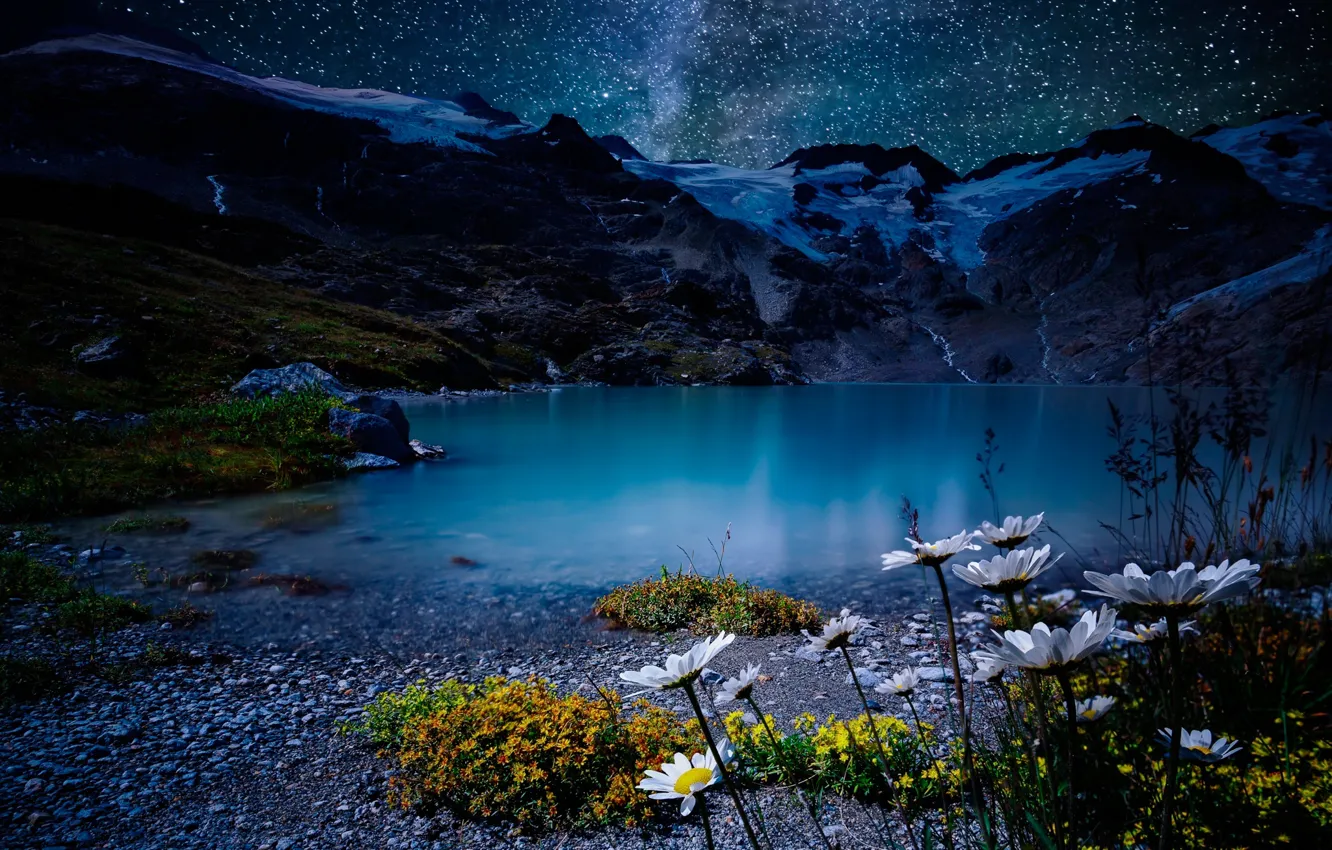 Фото обои небо, звезды, цветы, горы, ночь, озеро, камни, берег